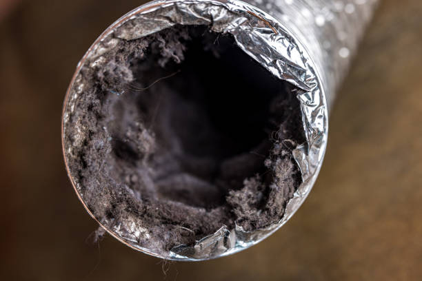 Best Air Duct Cleaning Near Me in TX